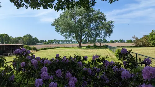 B&B Berghs Buitenleven - Bed and Breakfast Berghem