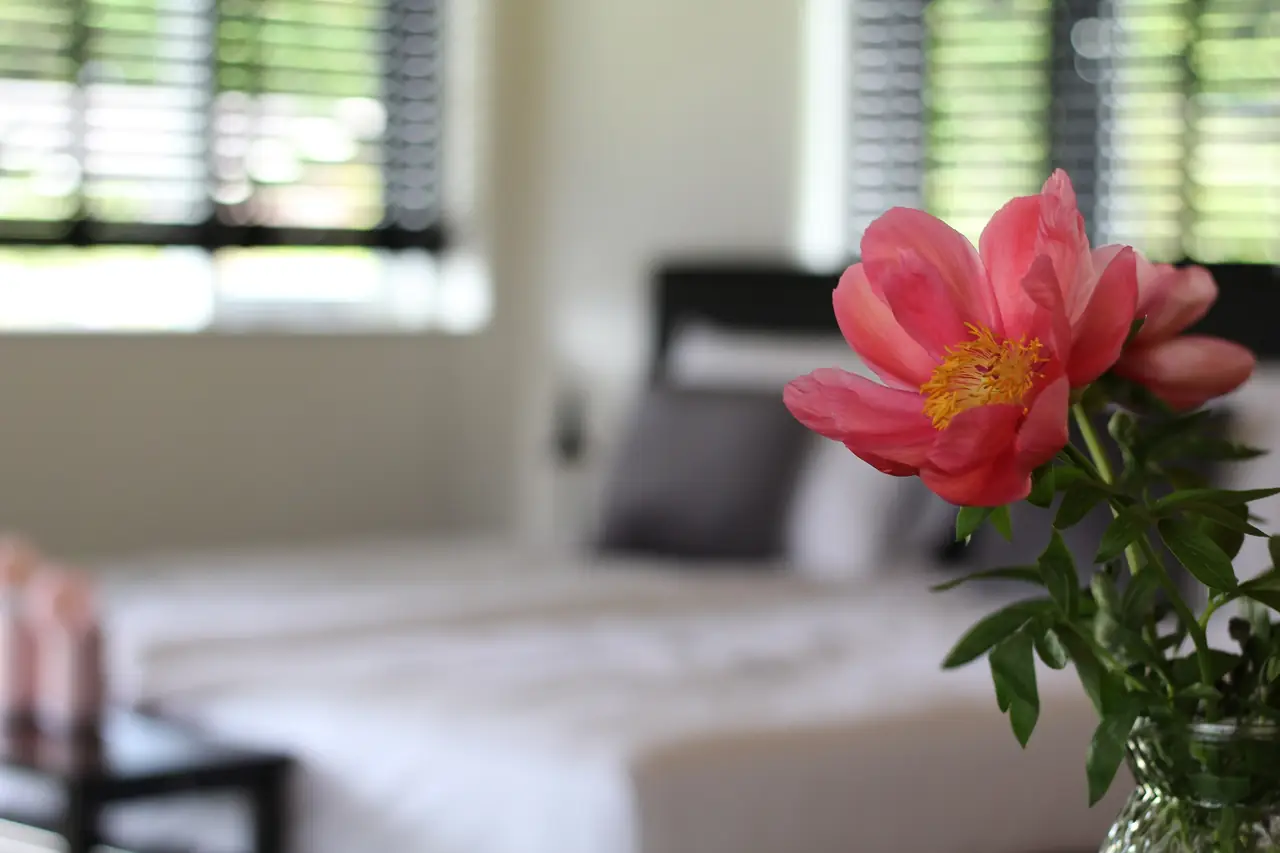 Bed & Breakfast Bij de Wilg - B&B Laren