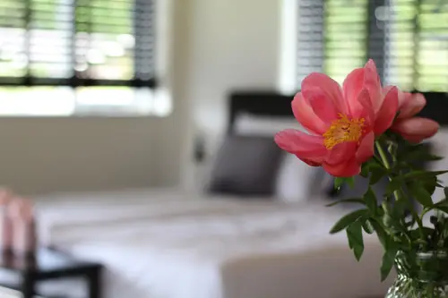 Bed & Breakfast Bij de Wilg - B&B Laren