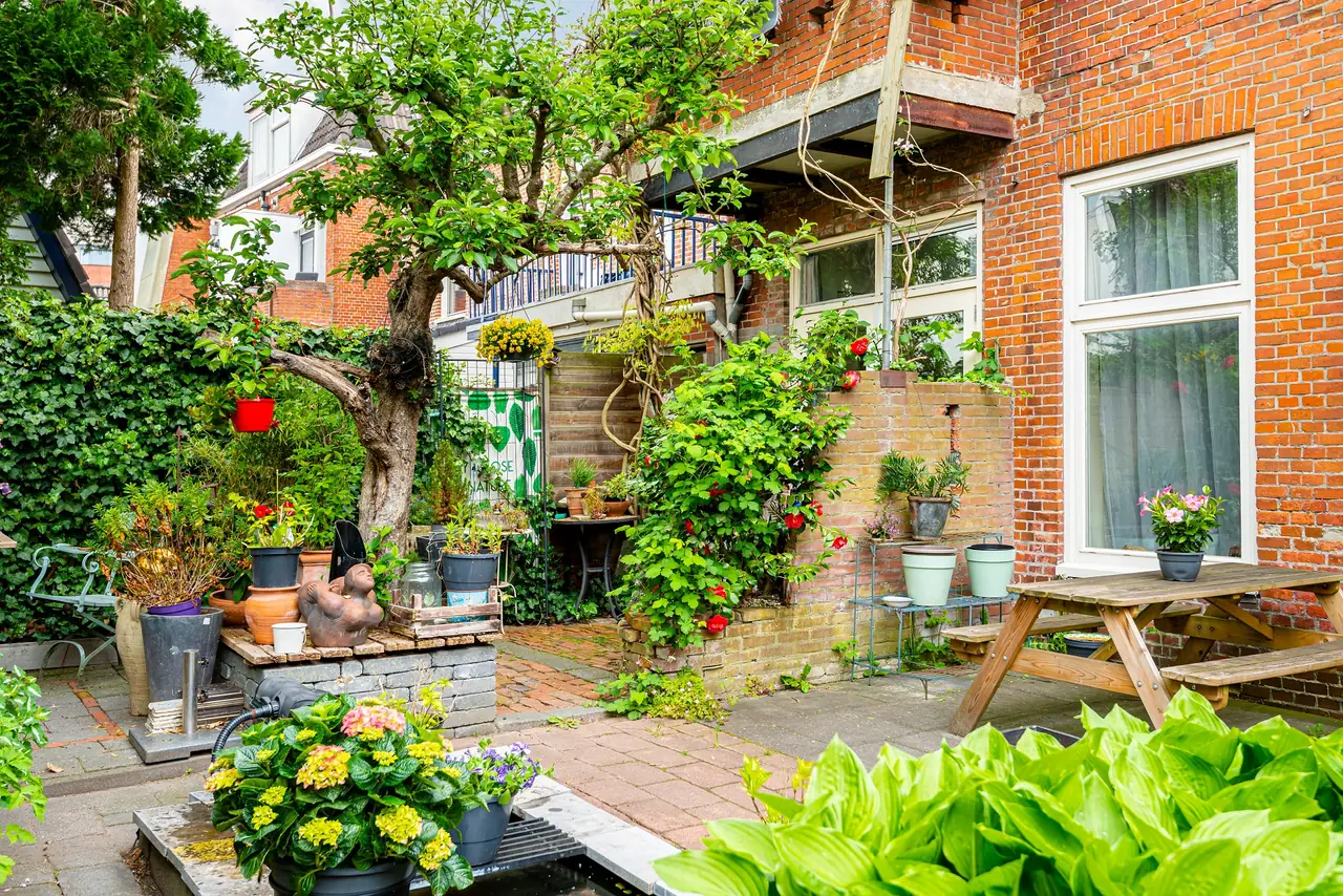 Cessinas - Bed and Breakfast Groningen