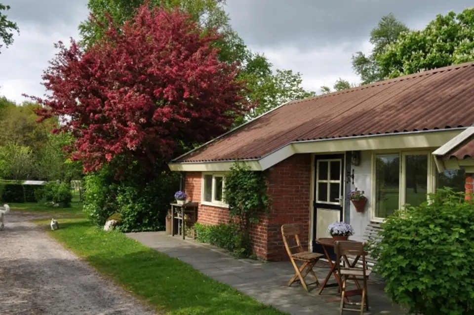 de Paardenstal - Bed and Breakfast Een