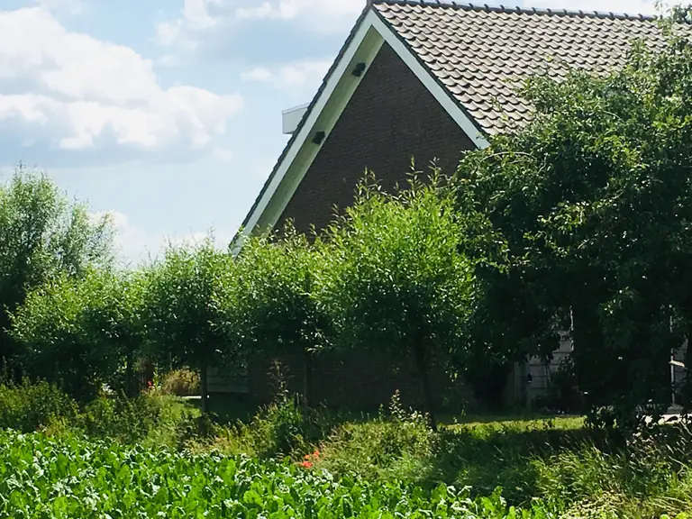 De Nieuwe Warande - Bed and Breakfast Tilburg