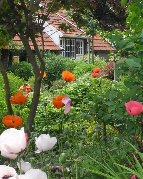 B&B Kwaekensteyn - B&B Ruurlo