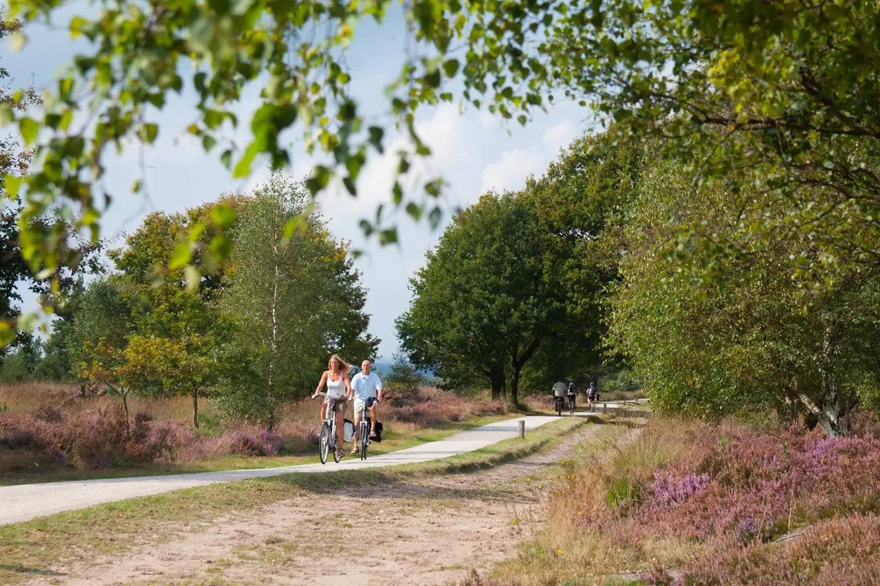 Bed & Breakfast Heanig an - B&B Haarle