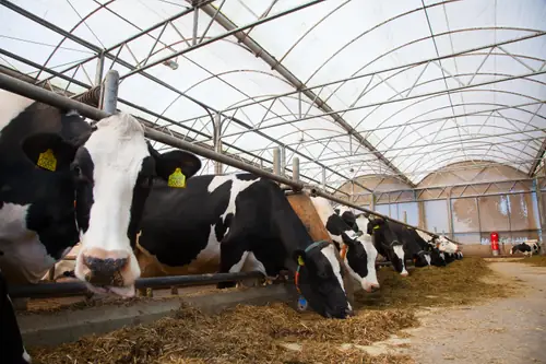 Bij Schellach - Ferienwohnung Middelburg