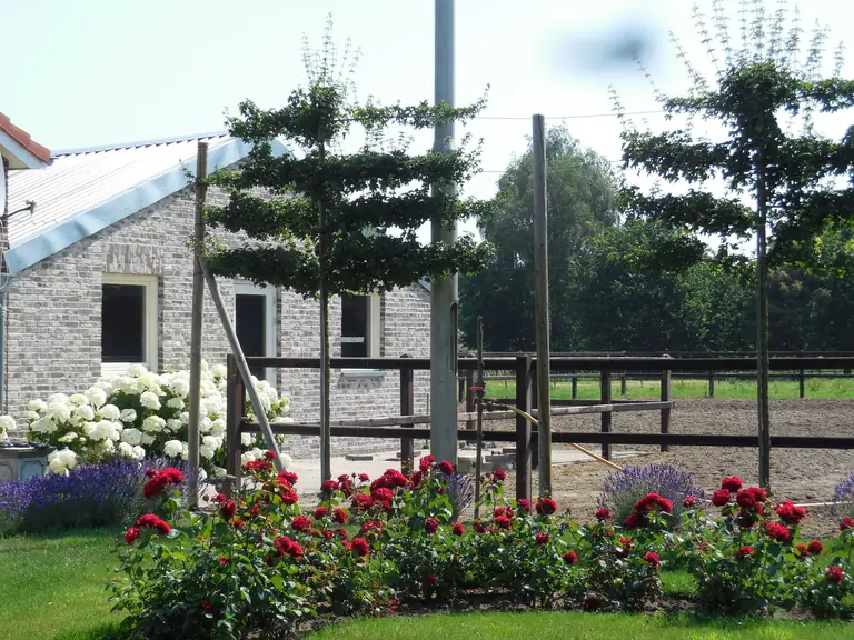 B&B De 7 Sprong - Bed and Breakfast Sevenum