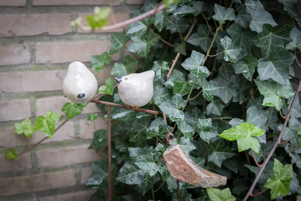 Uit & Thuis - B&B Kaatsheuvel