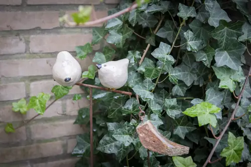 Uit & Thuis - B&B Kaatsheuvel