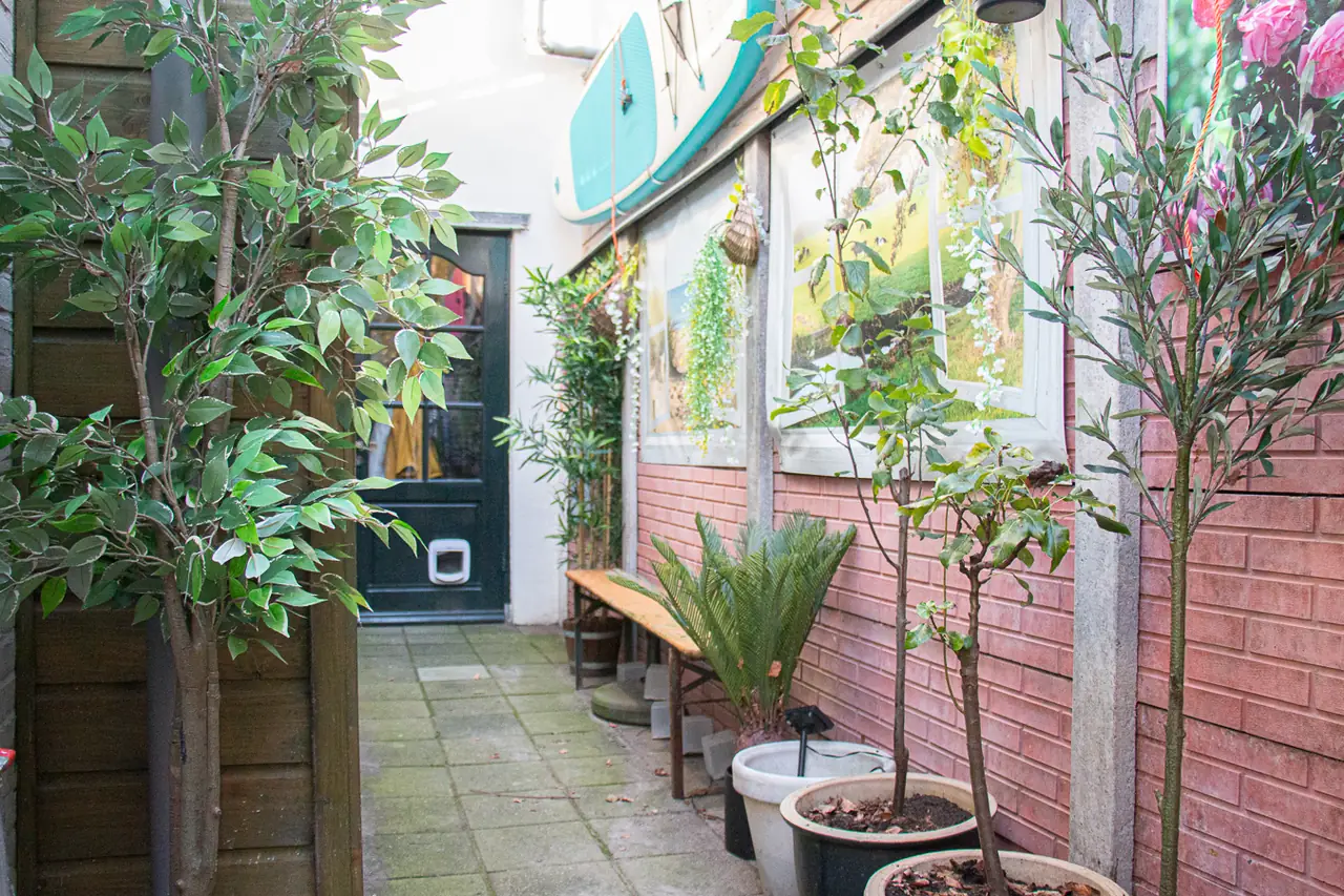 Peetshof - B&B Haarlem