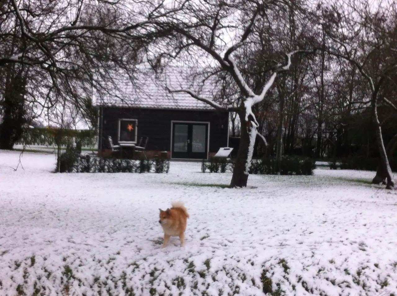 B&B het Noordland - B&B Heinkenszand