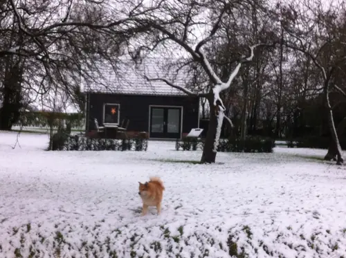 B&B het Noordland - B&B Heinkenszand