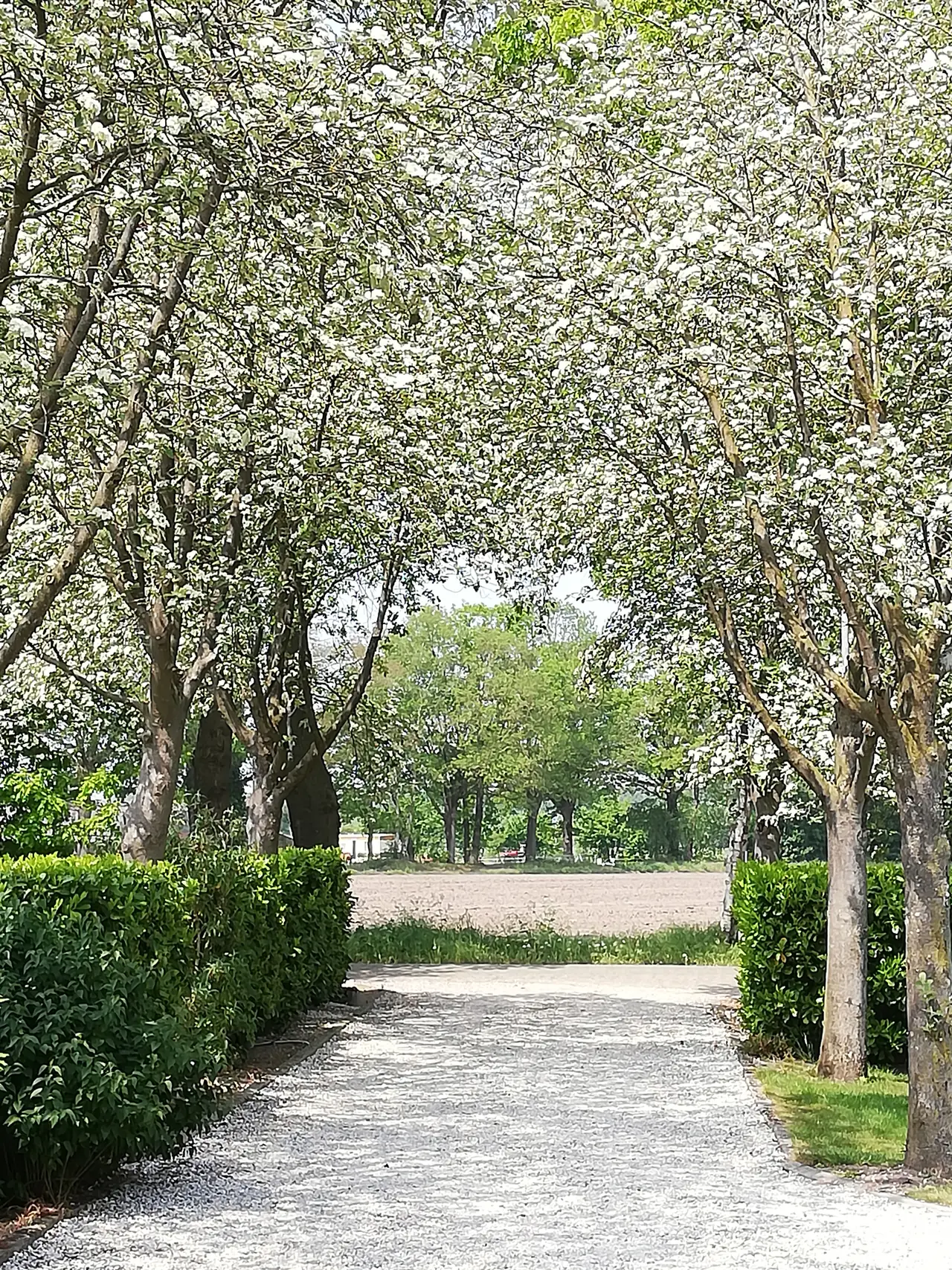 Bed and Breakfast de Groes - B&B Borculo