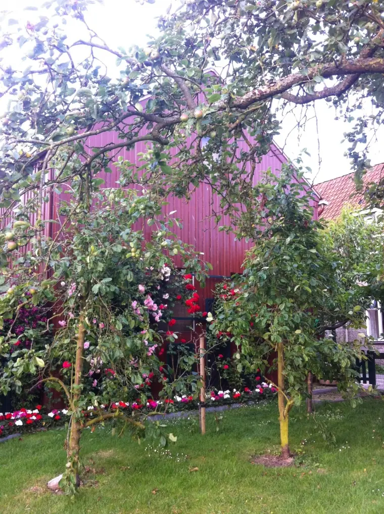 B&B Zazza - B&B Raerd