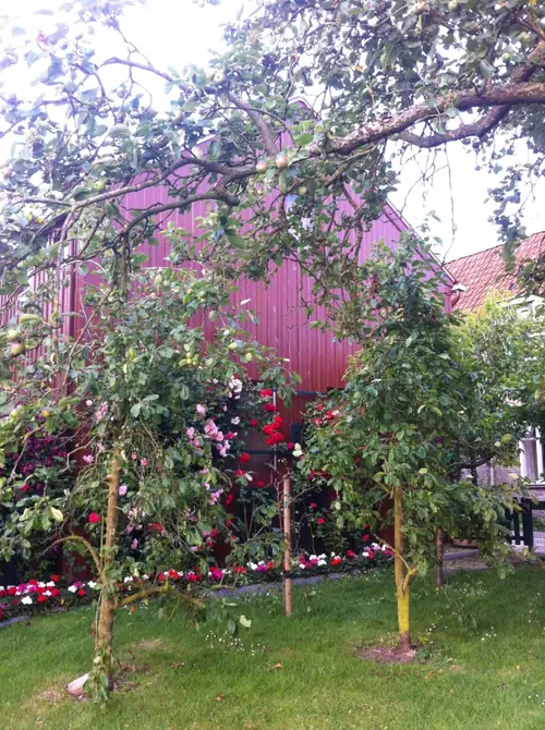 B&B Zazza - B&B Raerd