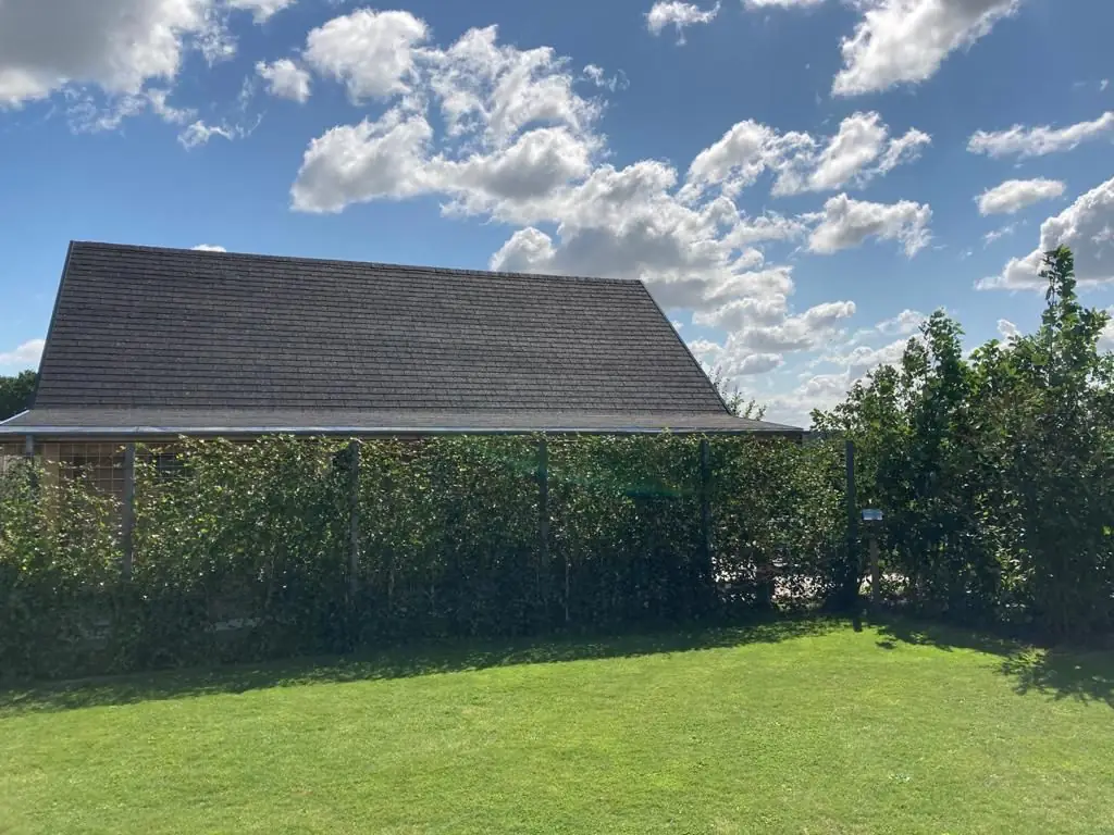 BenBGeebsplace - B&B Zuidland