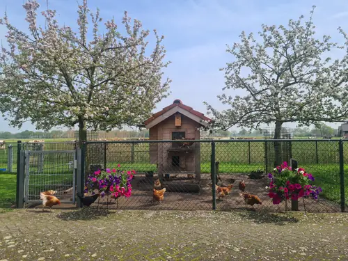 Boerderij Appartementen Linderte - Bed and Breakfast Raalte