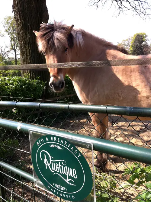 Rustique - Bed and Breakfast Wapenveld