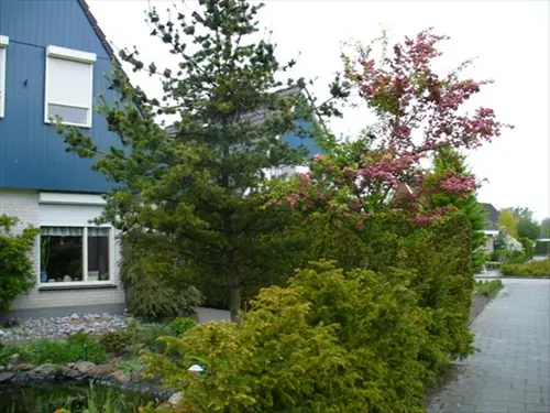 Bed and breakfast Van den Ouden - Lindenburg - B&B Delfzijl