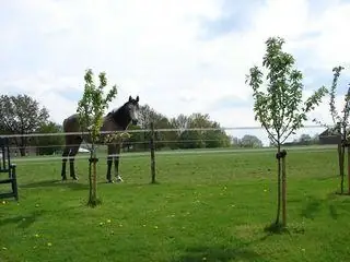 Pension Geuldal - B&B Mechelen