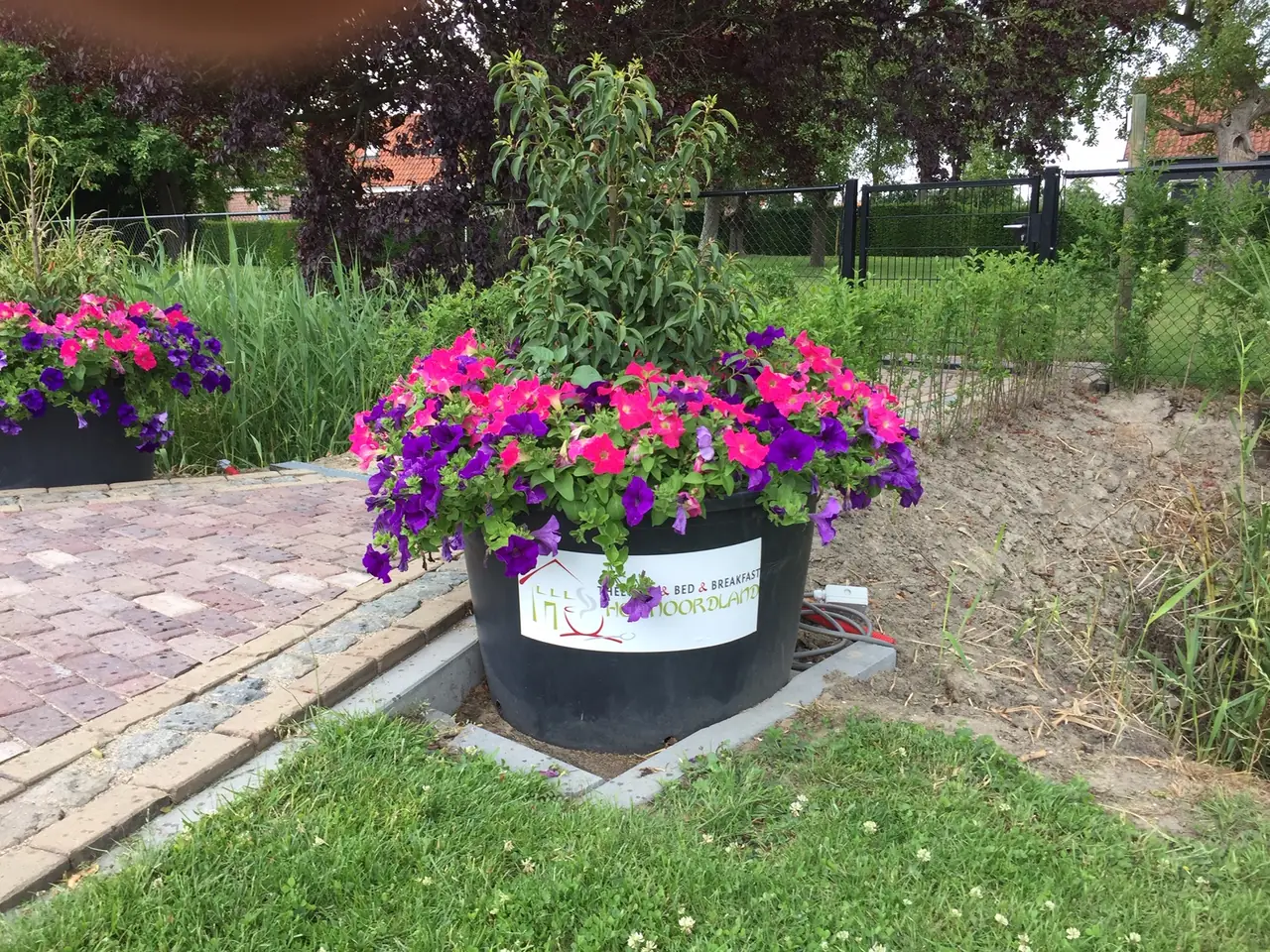 B&B het Noordland - B&B Heinkenszand