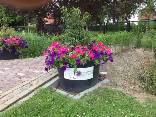 B&B het Noordland - B&B Heinkenszand