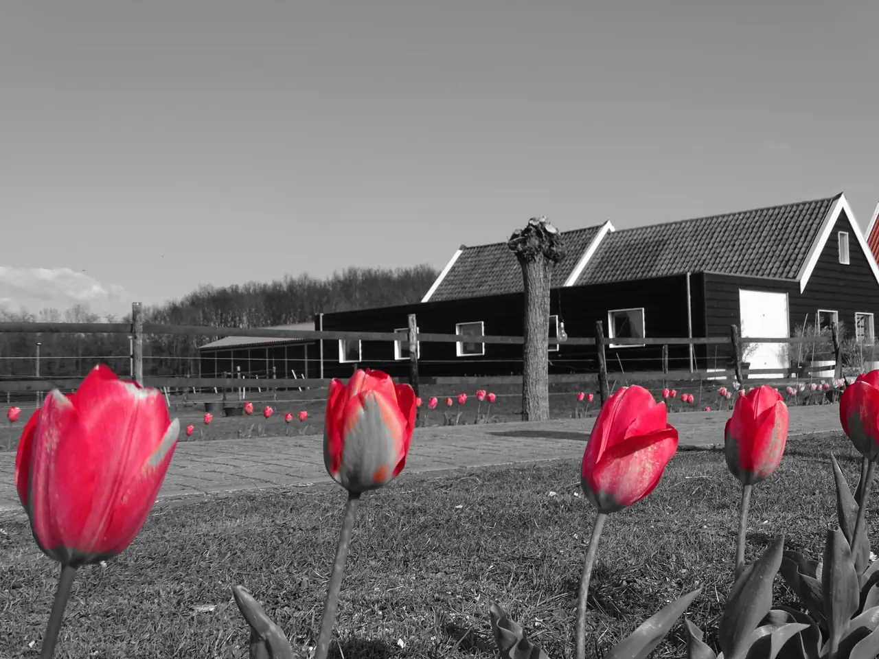 Op de Boerderie - Bed and Breakfast Noordgouwe