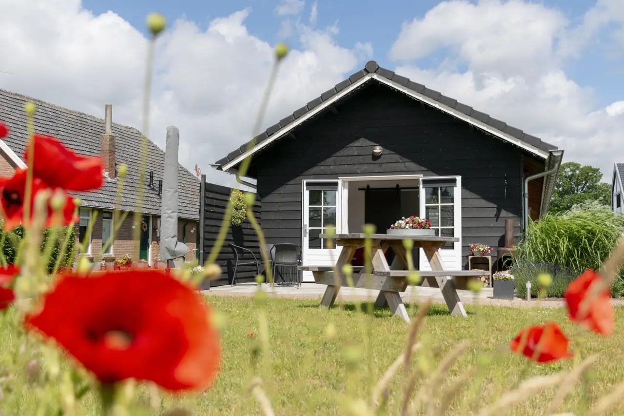 Klein Zwaluwenslag - Bed and Breakfast Doetinchem