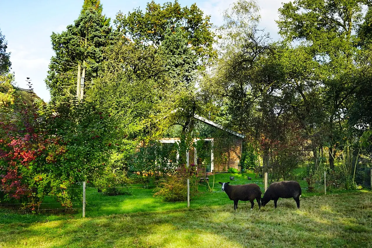 B&B 'Roosdom 5' - Bed and Breakfast Laren