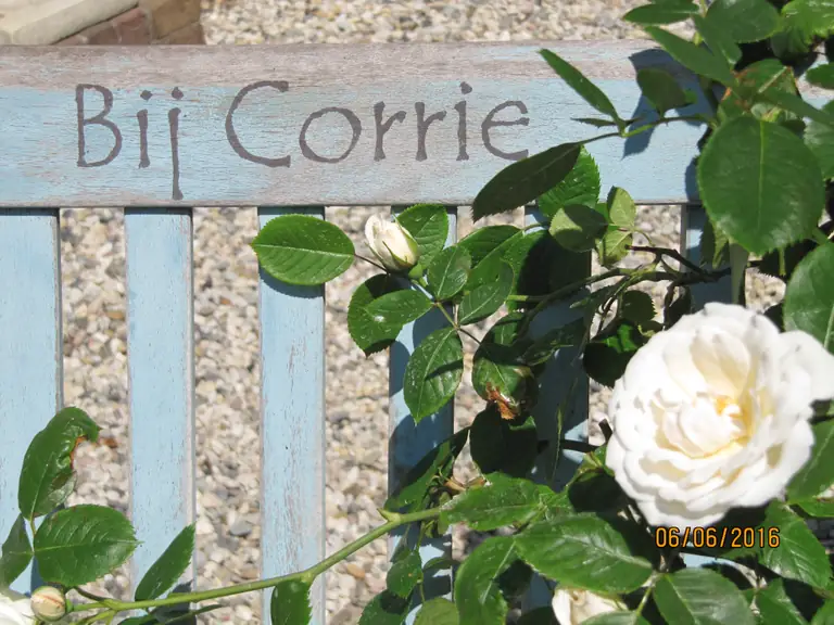 B&B Bij Corrie - B&B Brummen