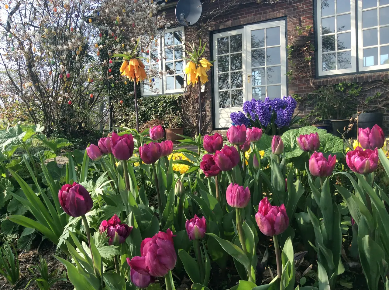 Het Buitenhuis - Ferienwohnung Varsselder