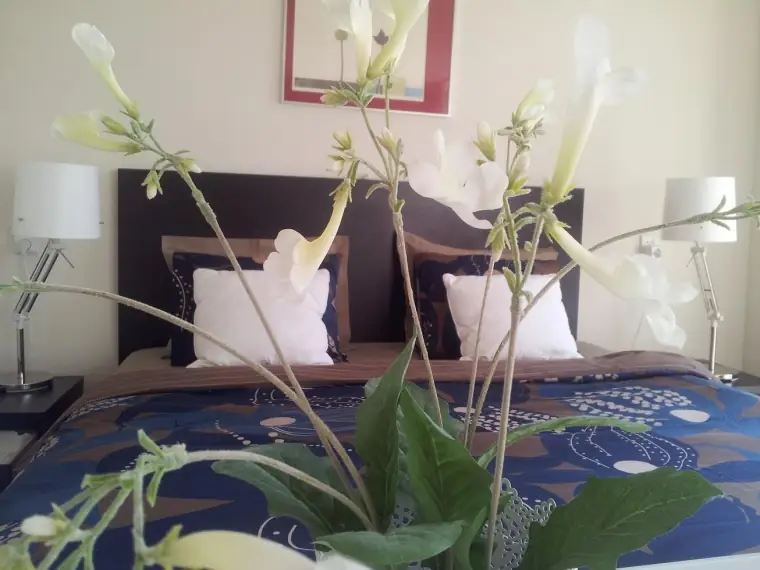B&B (Bed en Bad) Benoordenhout - Bed and Breakfast Den Haag