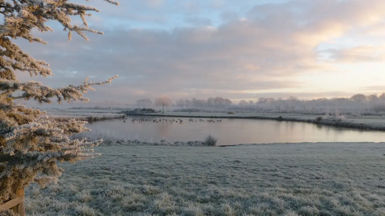 B&B Boerderij Hazenveld - B&B Kockengen