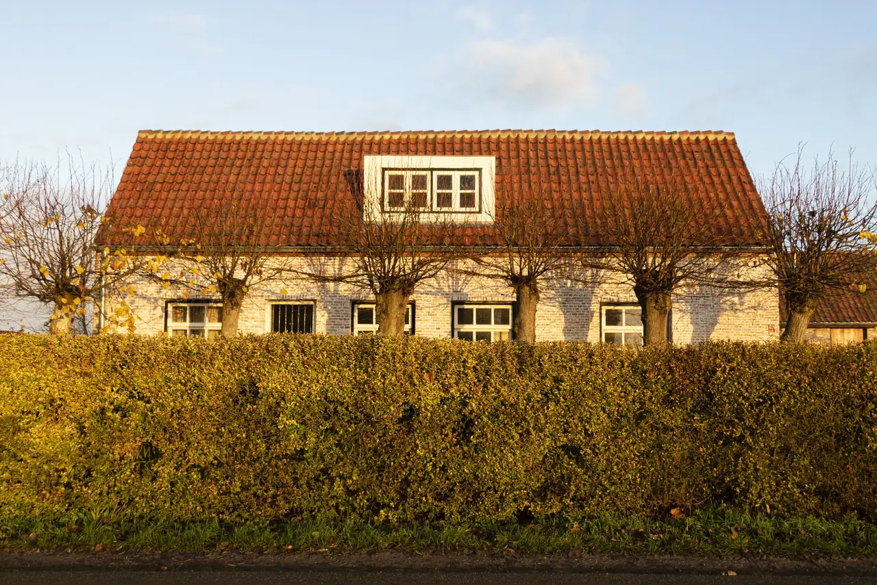 De 6 Linden - Bed and Breakfast Heille
