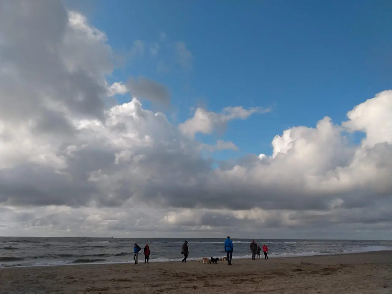 De Zwarte Ruiter - B&B Callantsoog