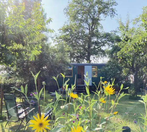 Pipowagen B&B HoppaKeet - Bed and Breakfast Boxtel