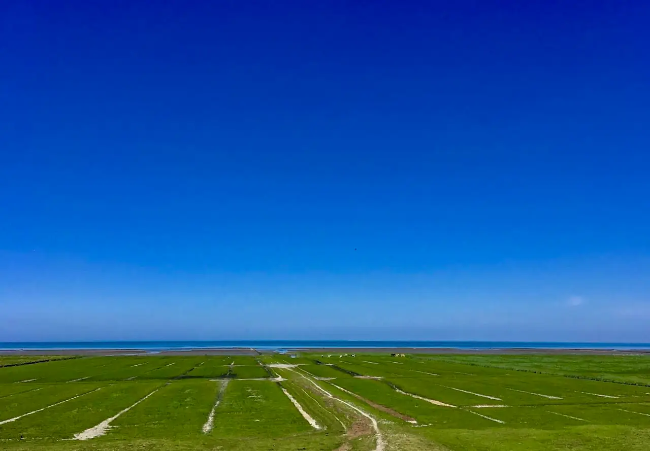 De Kwelder - B&B Kleine Huisjes