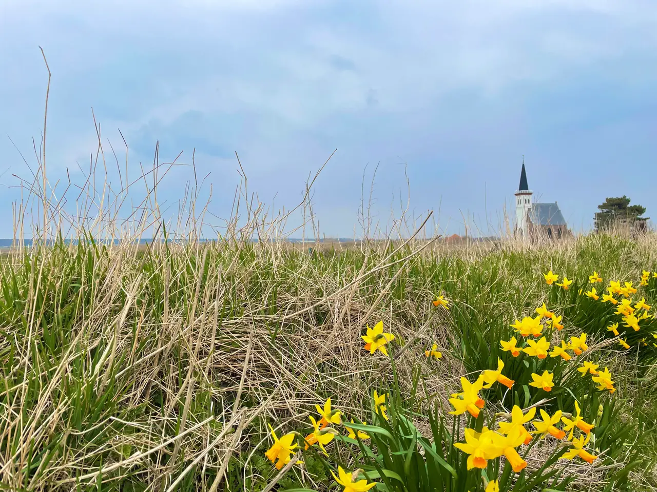 De Parelduiker - Bed and Breakfast Den Hoorn