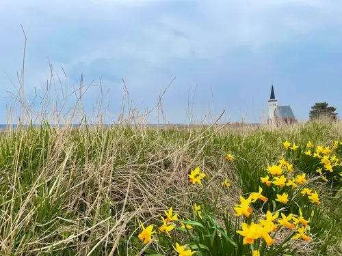 De Parelduiker - Bed and Breakfast Den Hoorn