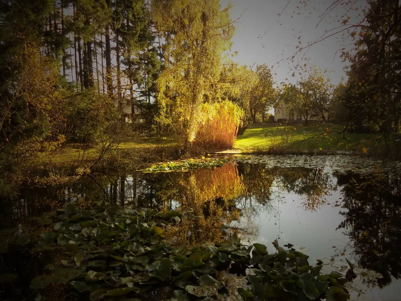 Spoor 1a - Bed and Breakfast Gelselaar