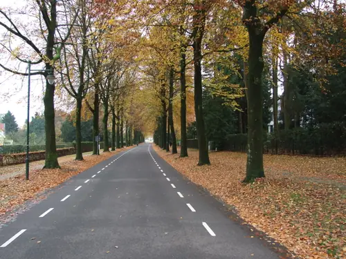 Meneer Pos - B&B Velp