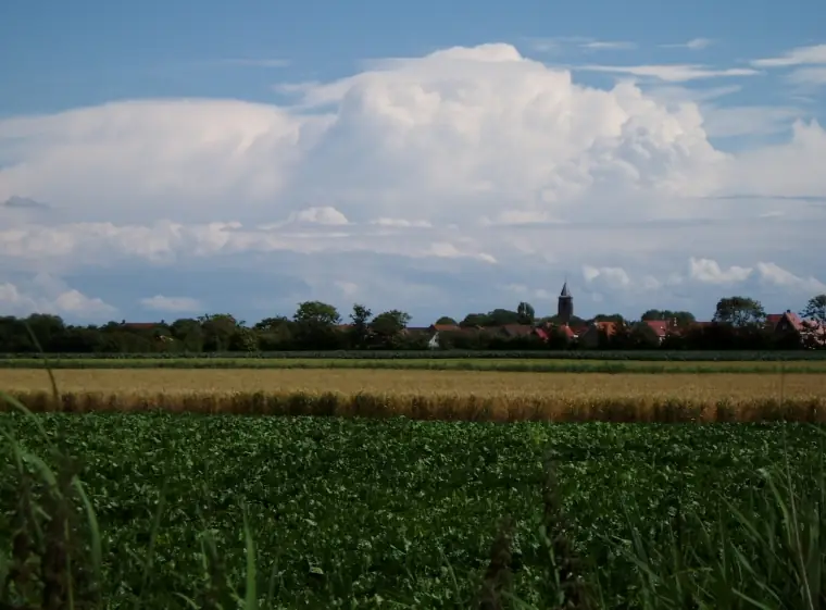 Hekweide Bed & Breakfast - B&B Aagtekerke