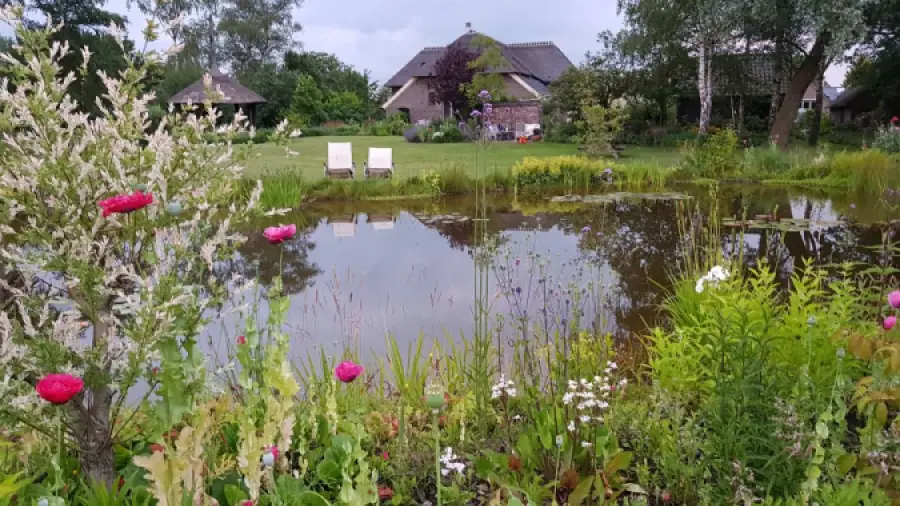 In de tuin van Dorth - Bed and Breakfast Kring van Dorth