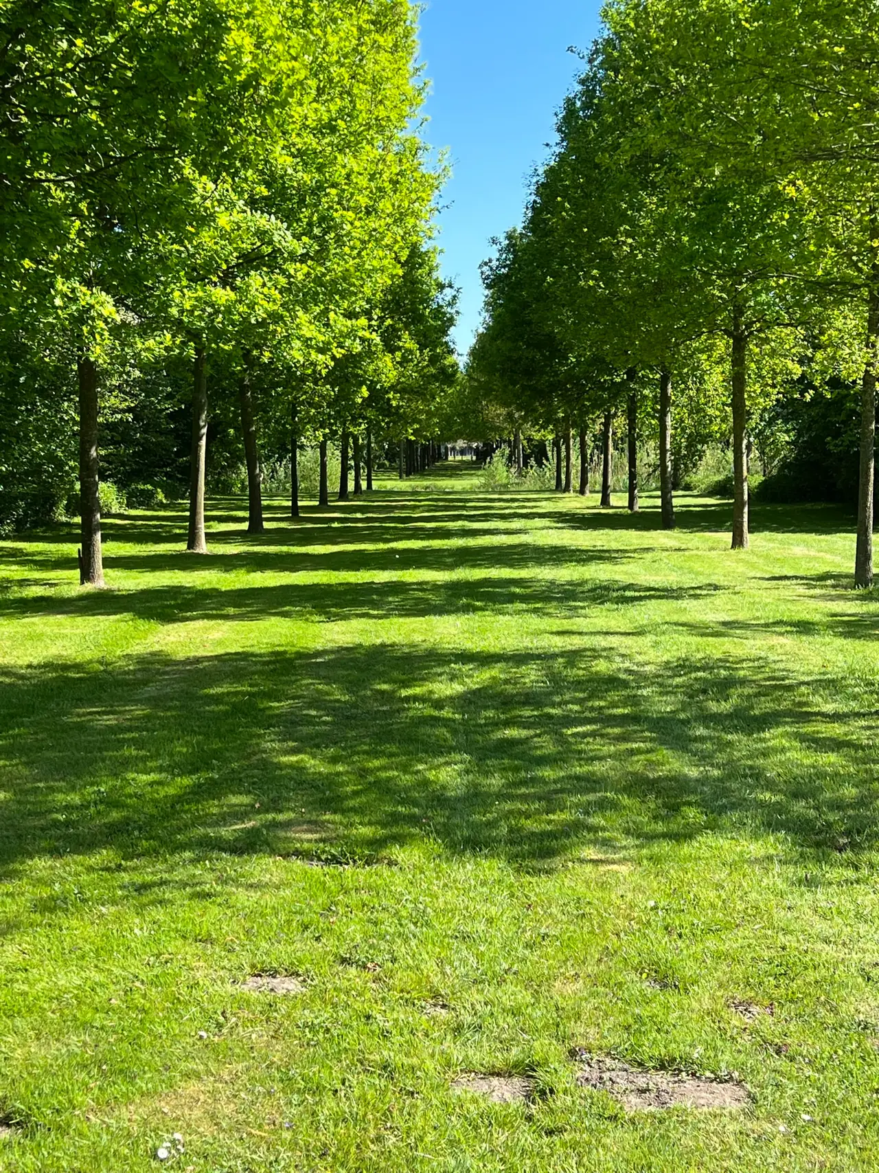 Bed & Breakfast landgoed Burghmalsen - Bed and Breakfast Buurmalsen