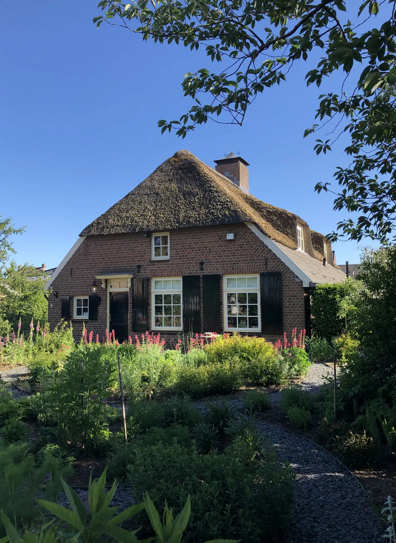 Pura Vida - Bed and Breakfast Nederasselt