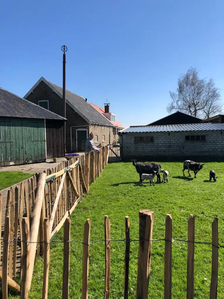 De Klaashoeve - B&B Reeuwijk