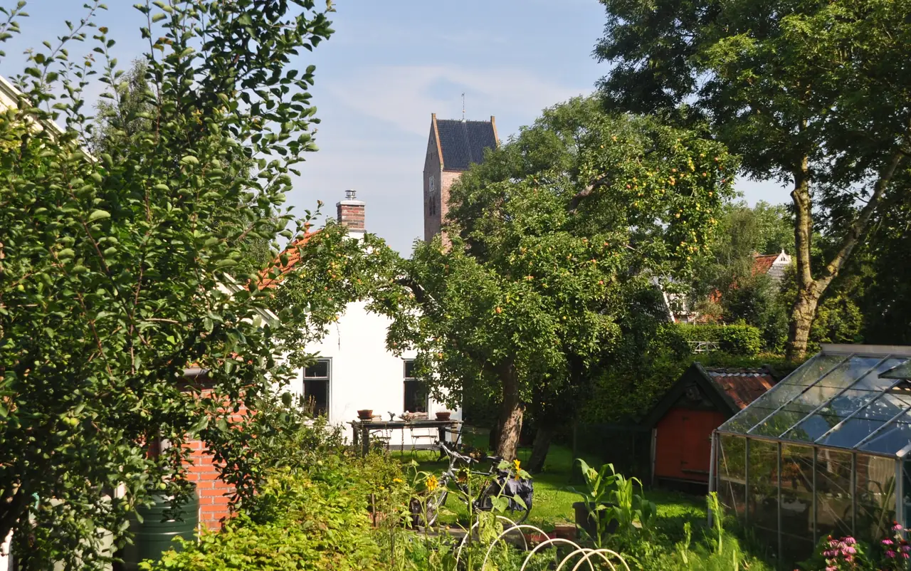 Witte Huisje Oldehove - Bed and Breakfast Oldehove