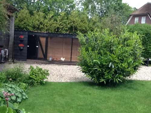 Boerderij in de polder - B&B Baarn