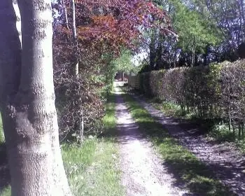 Onder Dak - B&B Scharmer