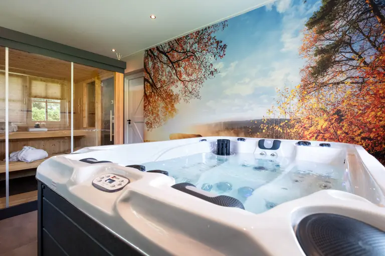 Bed & Wellness Erve Braakman - Bed and Breakfast Tubbergen