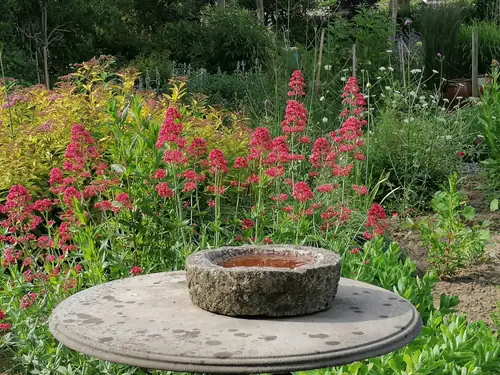 Pura Vida - Bed and Breakfast Nederasselt